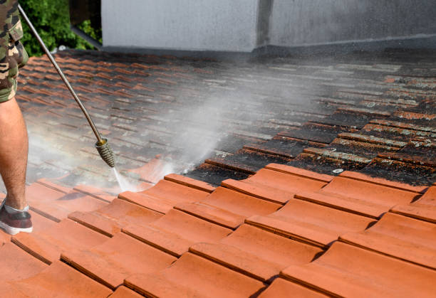 Professional Pressure Washing in Canutillo, TX