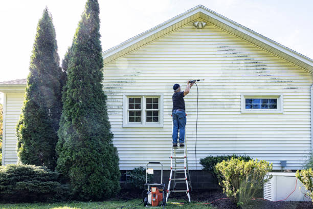 Best Concrete Pressure Washing  in Canutillo, TX