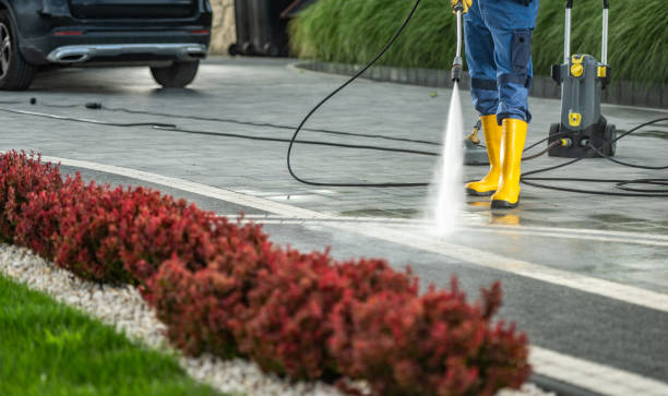 Best Commercial Pressure Washing  in Canutillo, TX